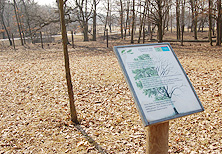 Der Waldlehrpfad im Lainzer Tiergarten