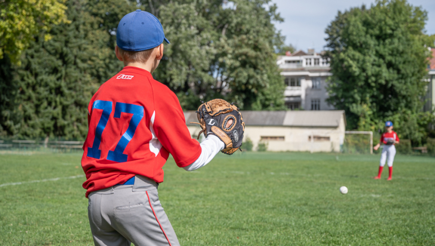 Baseball - BeeBallChallenge