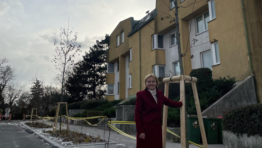 Zehn neue Straßenbäume gesetzt