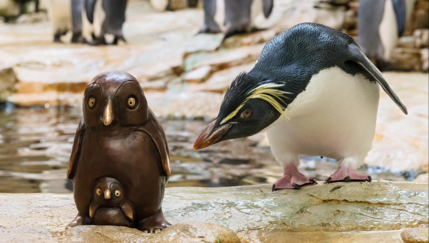 Pinguin aus Bronze sorgt für Staunen