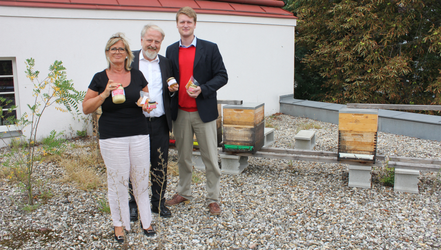 Honig aus Hietzing
