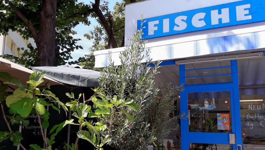 Aus Mira wurde Elifisch - das Fischparadies in Speising