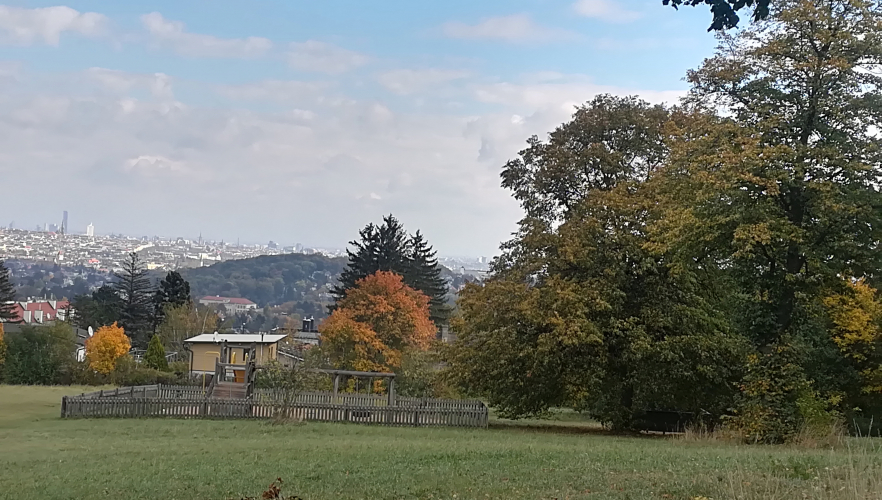 Hietzing soll einen Sabine Oberhauser Park bekommen