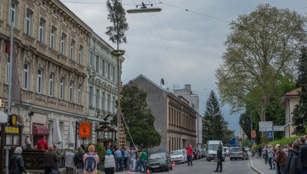 Tiroler Alm Maibaum 2015