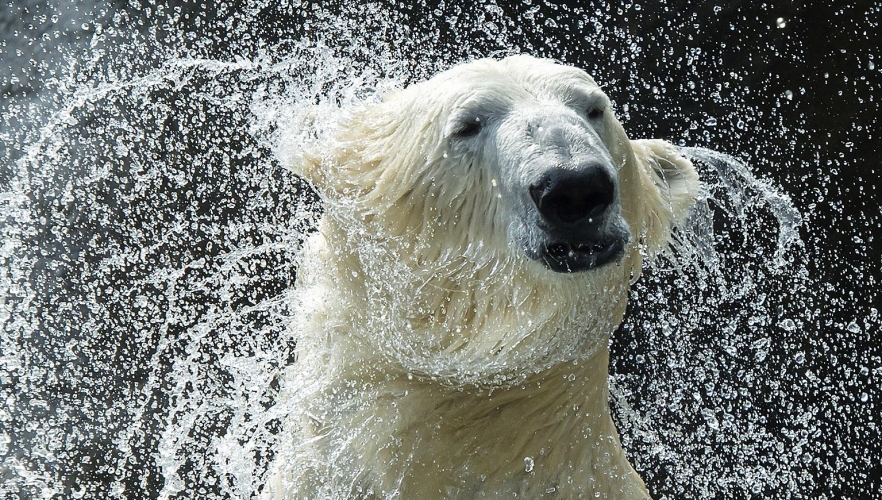 Sommerzeit ist Badezeit