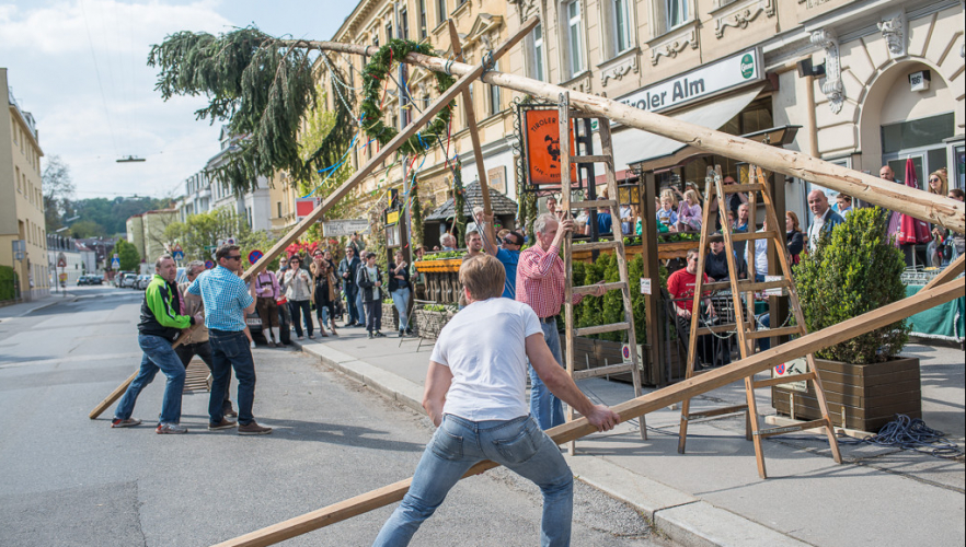 Maibaum Tiroler Alm 2017