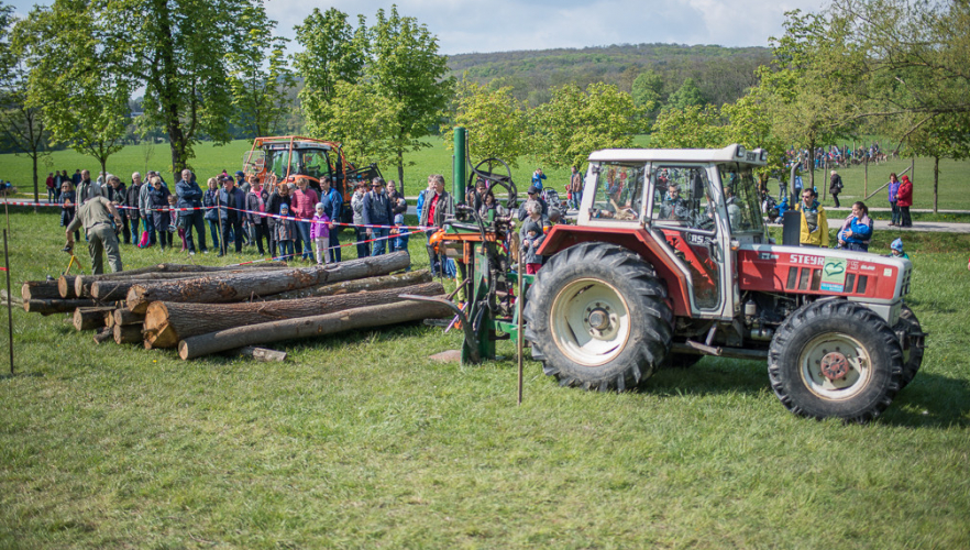 Frühlingsfest im Lainzer Tiergarten