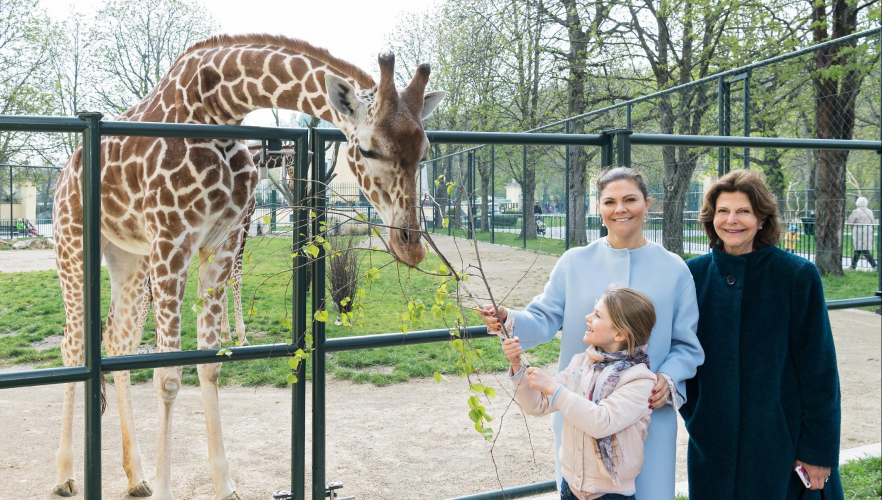 Schwedische Königsfamilie auf Zoobesuch