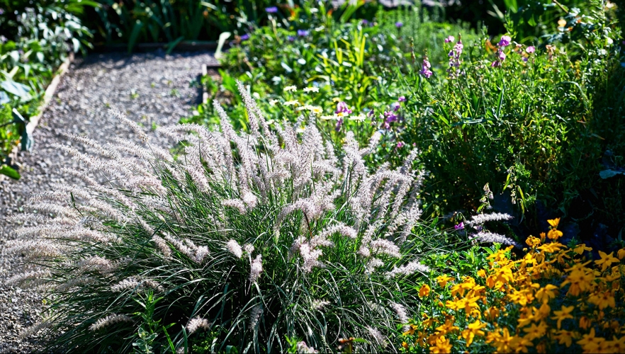 Studie: „Erholung im Garten“