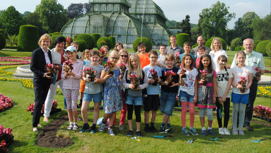 Sommerbepflanzung in Schönbrunn