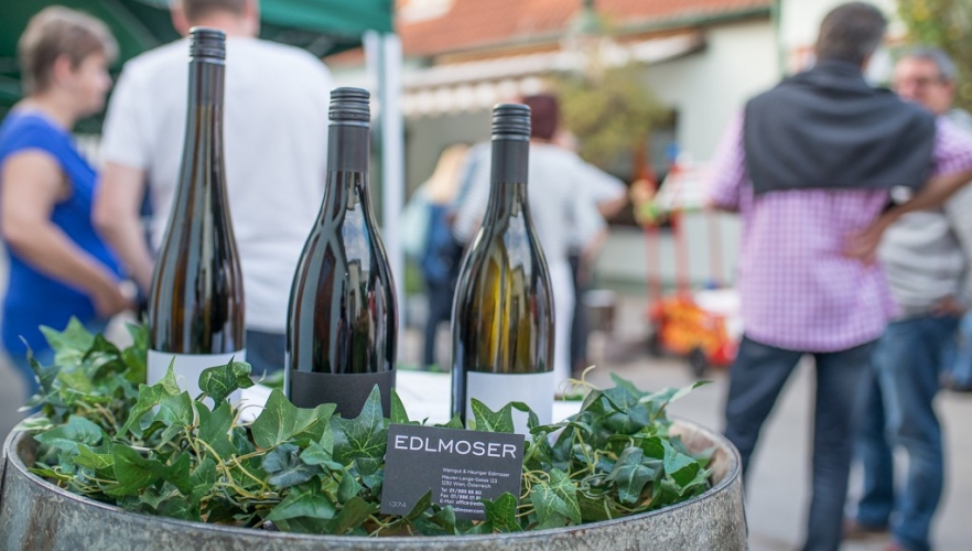Weinrundgang in Ober St. Veit 2016
