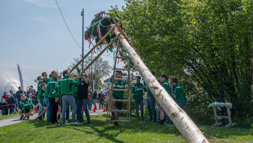 Maibaum ASK Ober St. Veit 2017